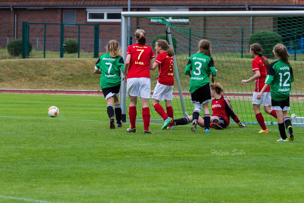 Bild 172 - C-Juniorinnen Landesmeister Finale SV Wahlstedt - TuRa Meldorf : Ergebnis: 1:4